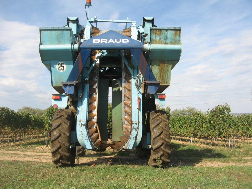 Vendanges M 2009 (29).JPG