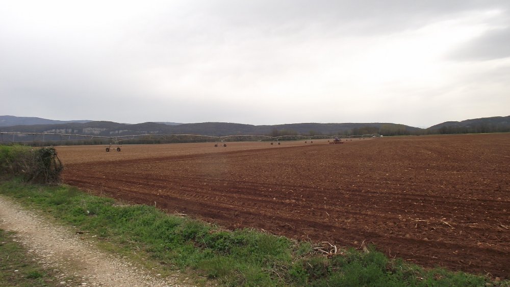 DSCF3124.JPG