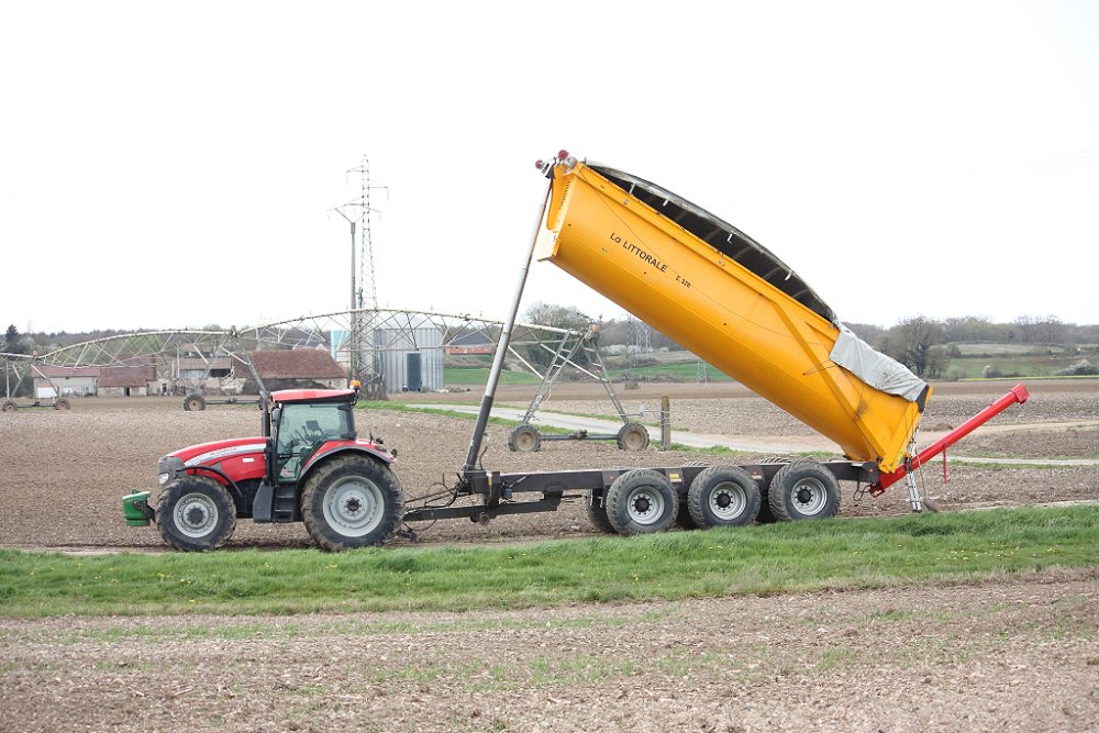 Semis2018 016.JPG
