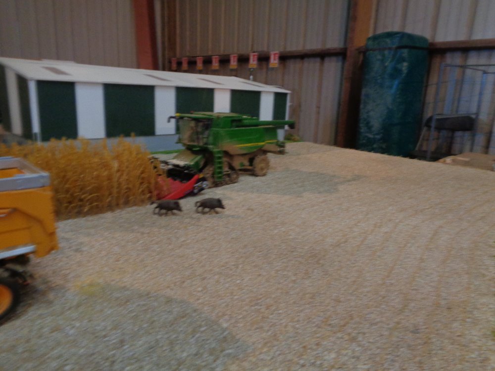 le neubourg 057.JPG