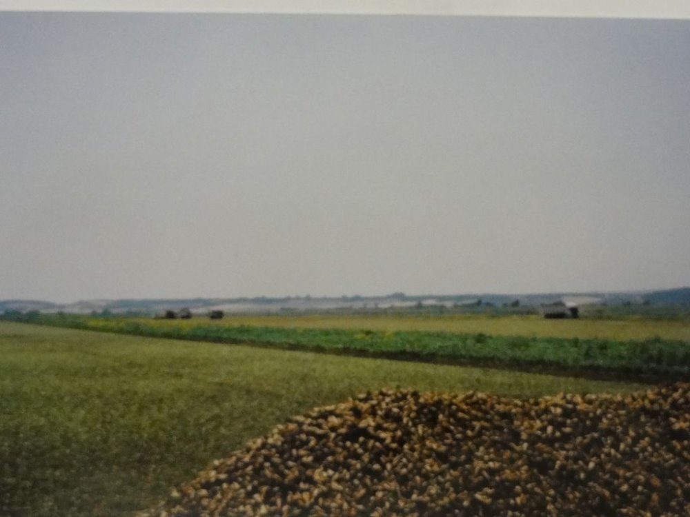 las lomas 012.JPG