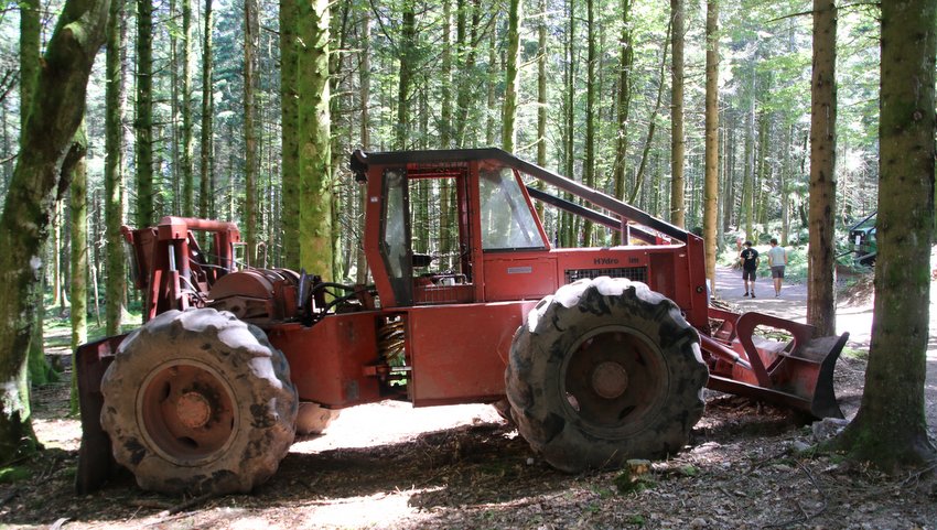 RB0A2295.JPG