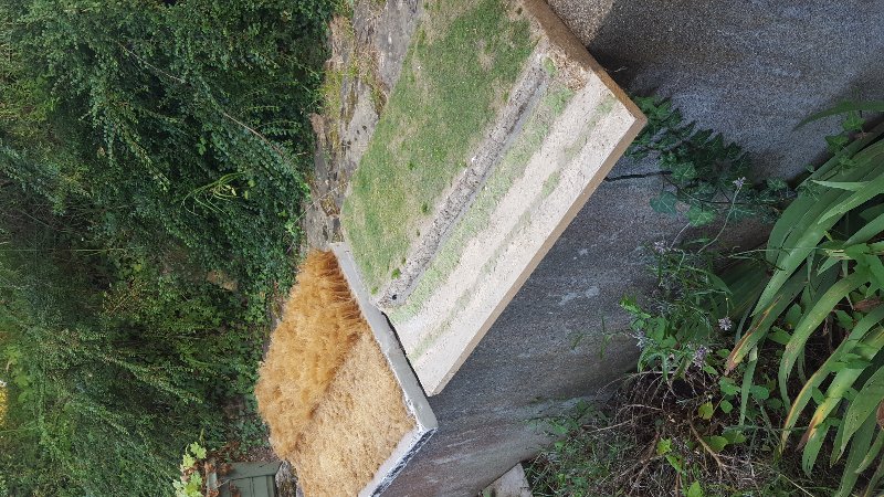 20180719_200605.jpg