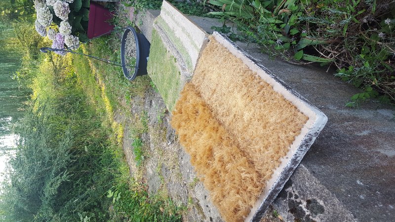 20180719_200600.jpg