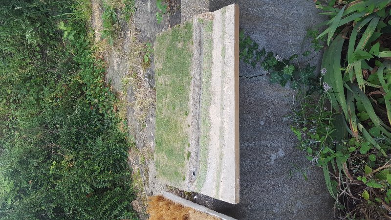 20180719_200551.jpg