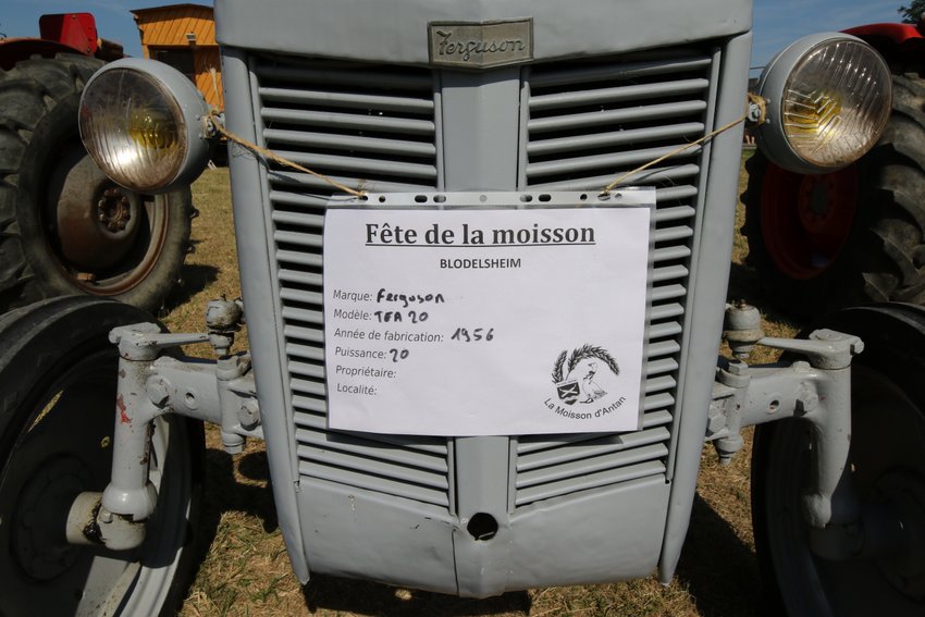 RB0A3172.JPG