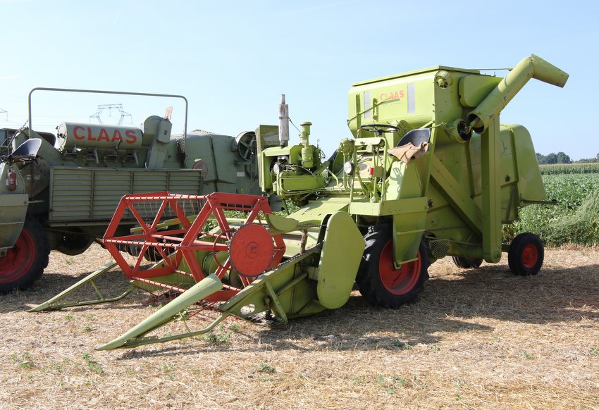 RB0A3056.JPG