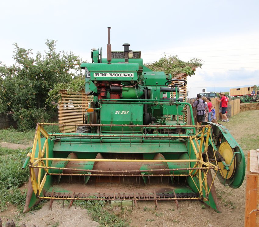 RB0A2830.JPG