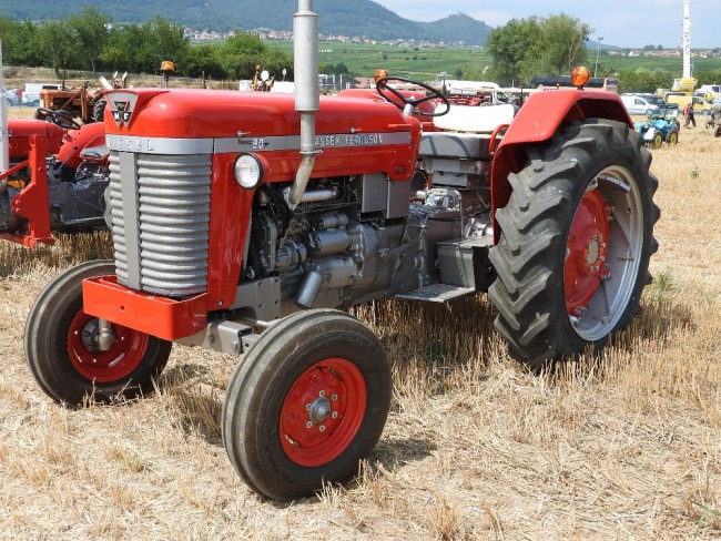 DSCN9064.JPG