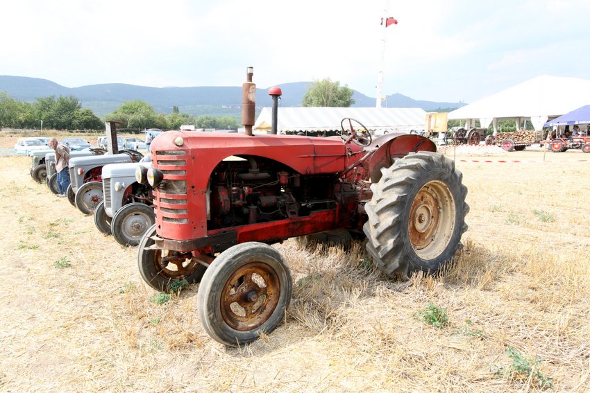 RB0A3541.JPG