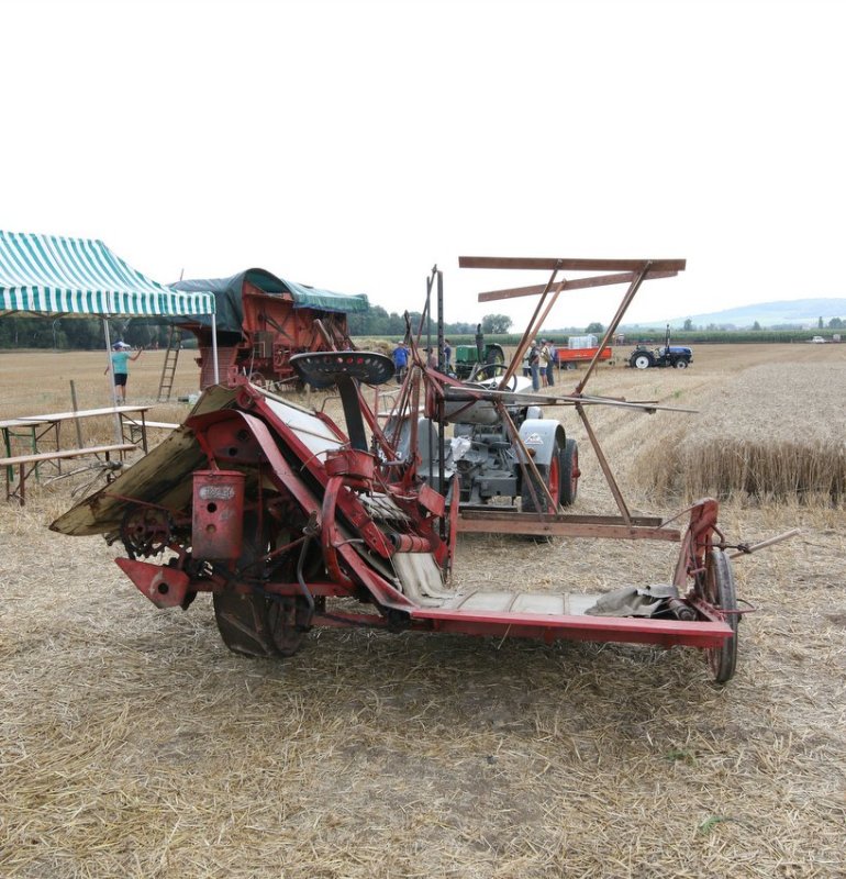 RB0A3565.JPG