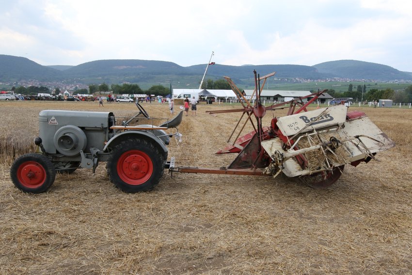 RB0A3567.JPG