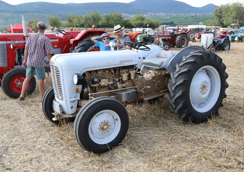 RB0A3645.JPG