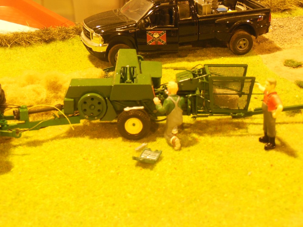 DSCN6896.JPG