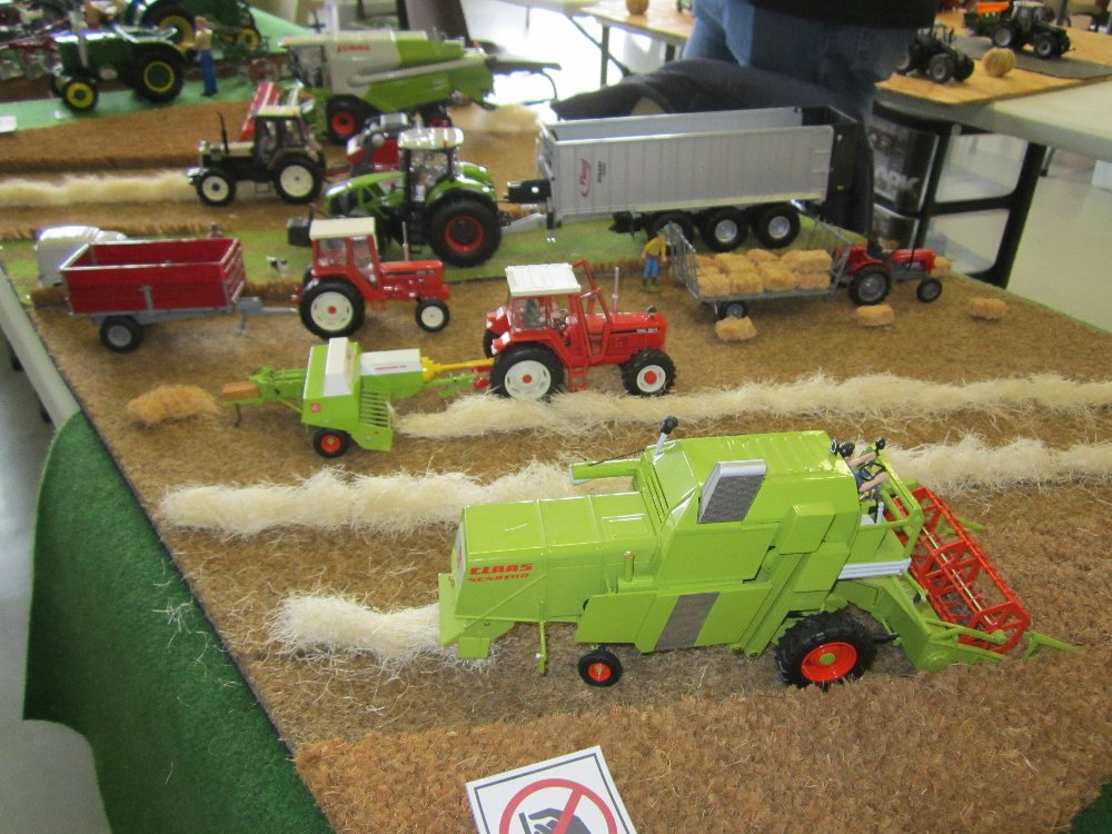 IMG_3070.JPG