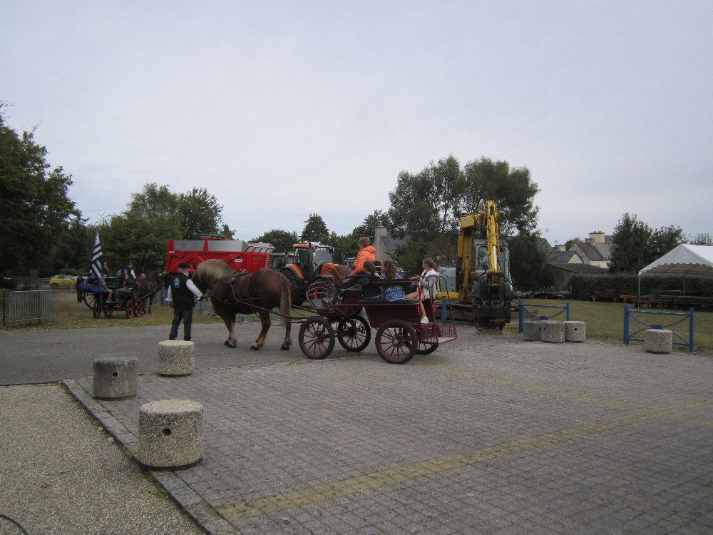 IMG_3075.JPG