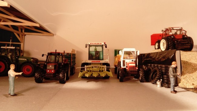 DSC_1244.JPG