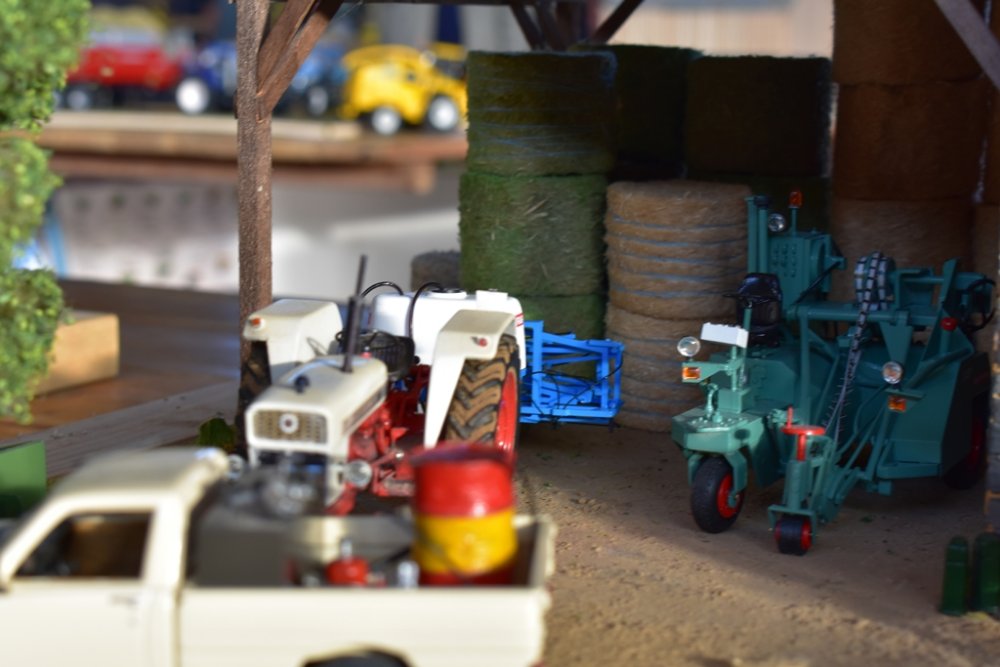 DSC_0212.JPG
