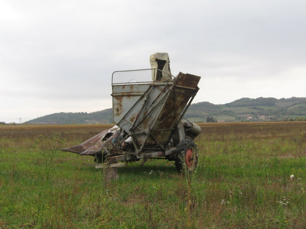 Corn picker 3.JPG