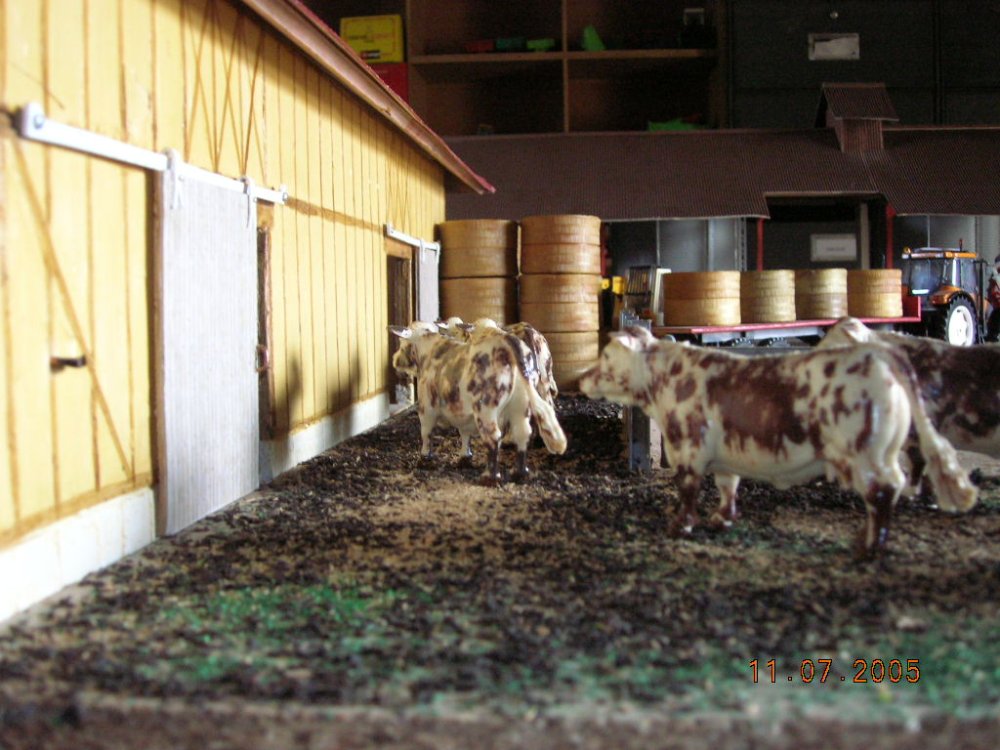 FERME2005 015.jpg