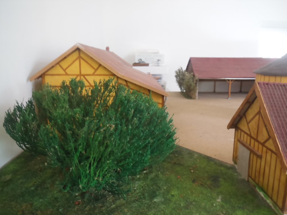 DSCN3142.JPG