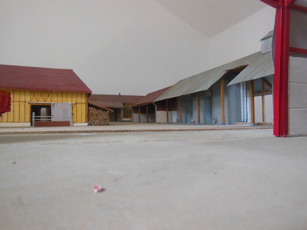 DSCN3146.JPG