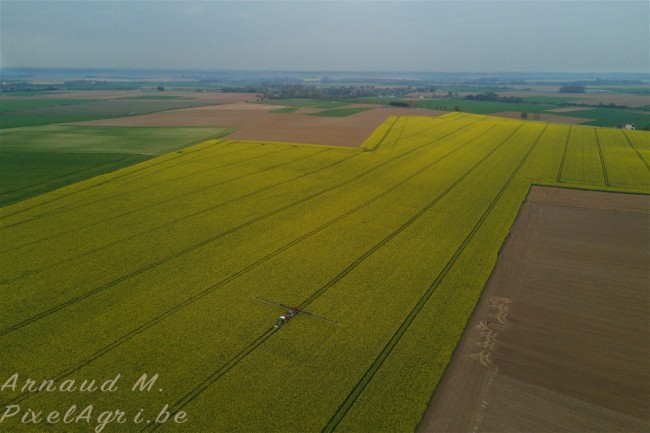 batch_DJI_0099co.jpg