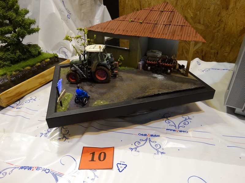 DSC06259 (Copier).JPG