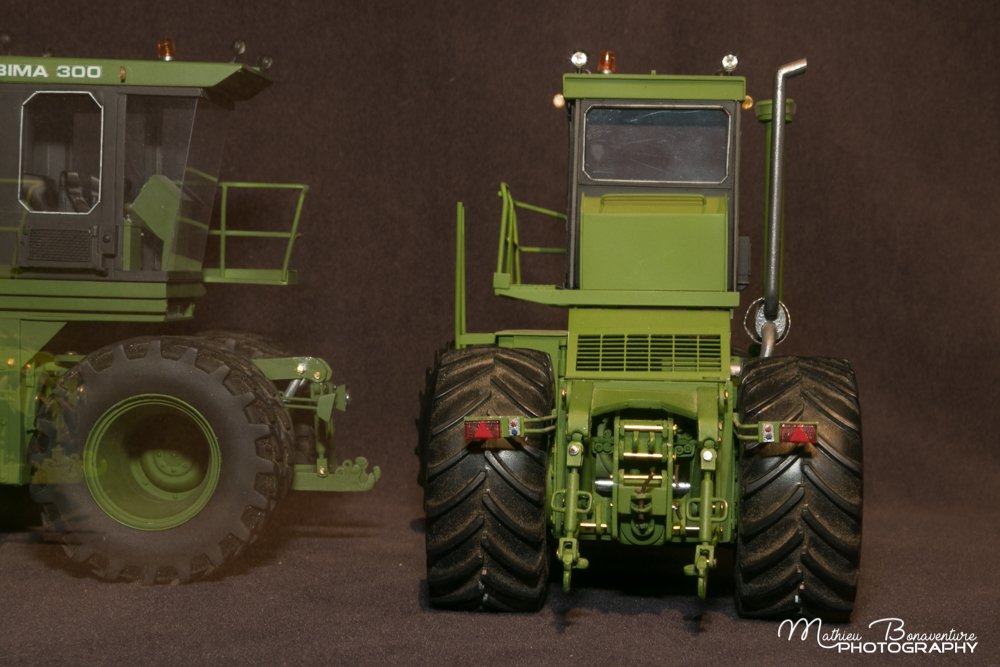 Bima x4-3089.jpg