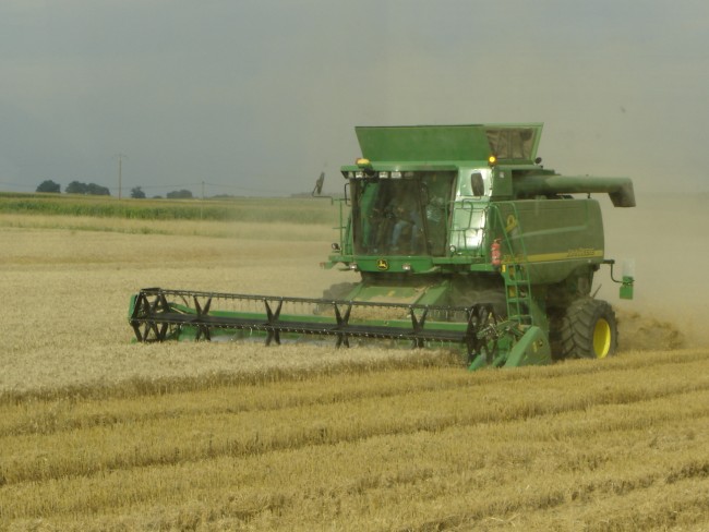 moisson08 (15).jpg