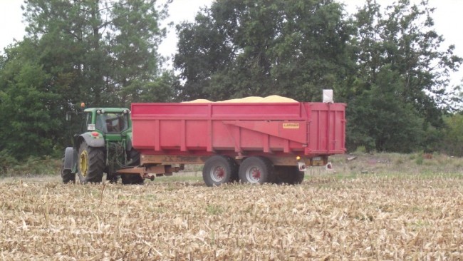 Landes Octobre 2012 476.JPG