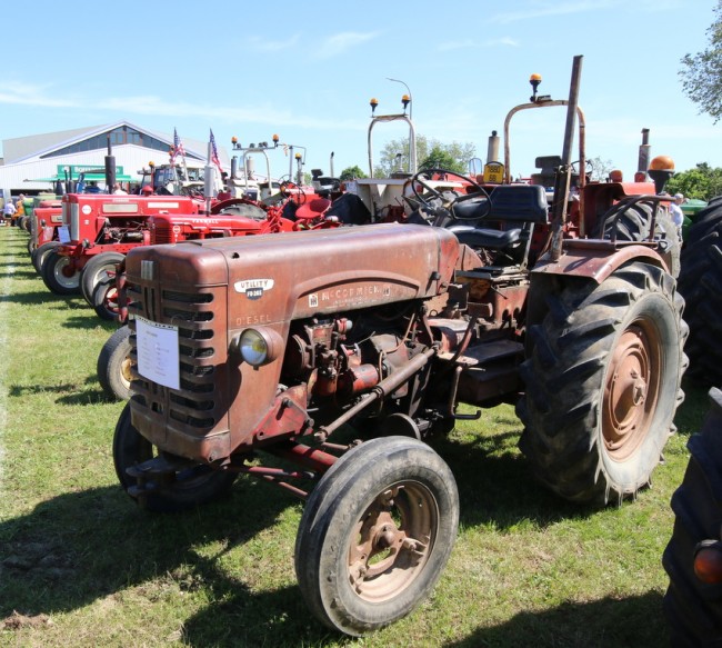 RB0A3095.JPG