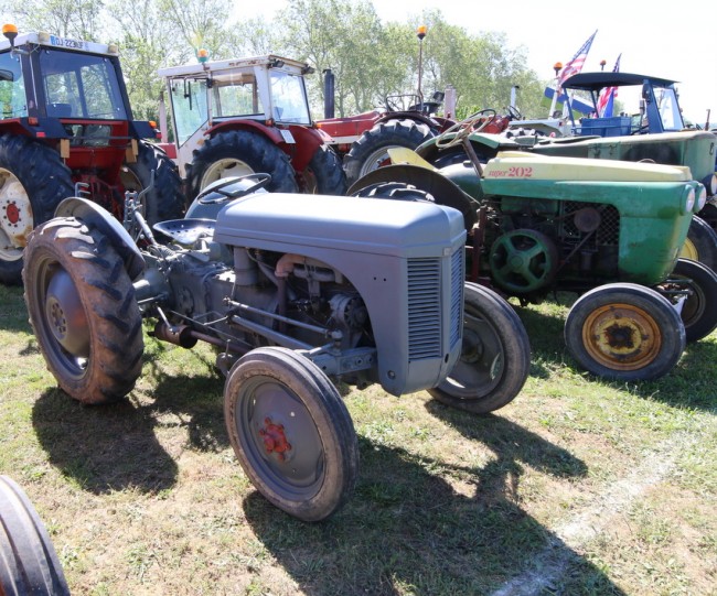RB0A3079.JPG