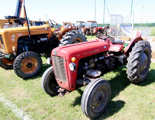 RB0A3166.JPG