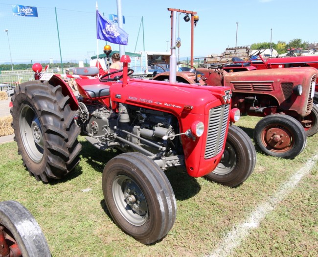 RB0A3168.JPG