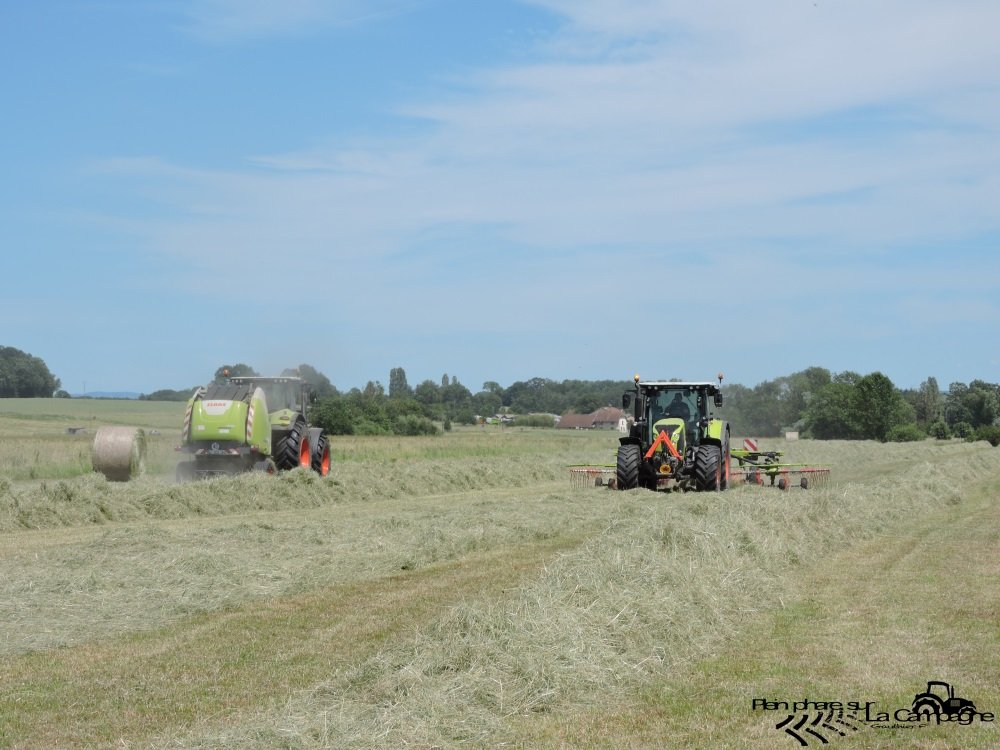 DSCN0261.jpg