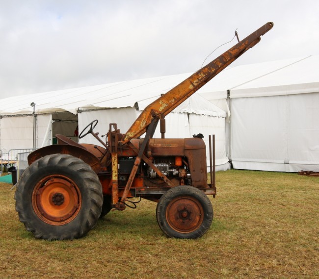 RB0A3774.JPG
