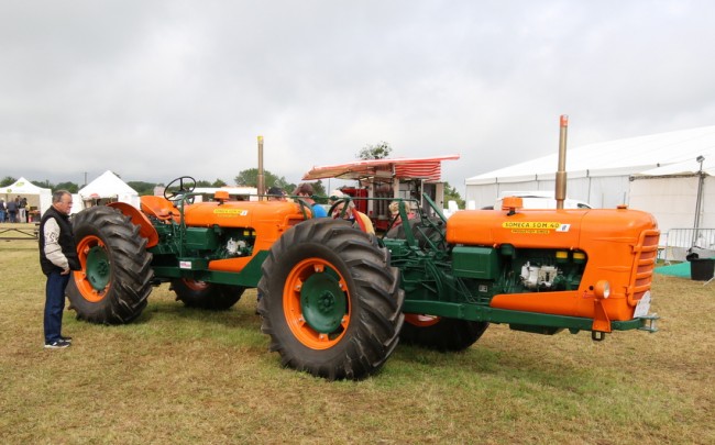 RB0A3775.JPG