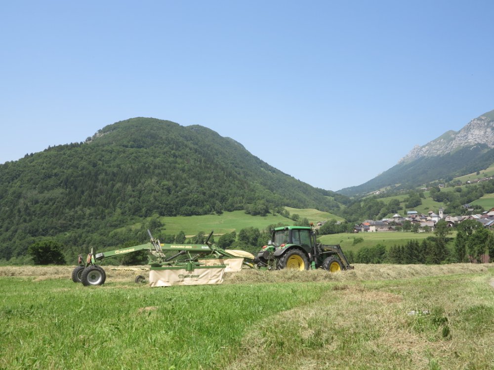 156.JPG