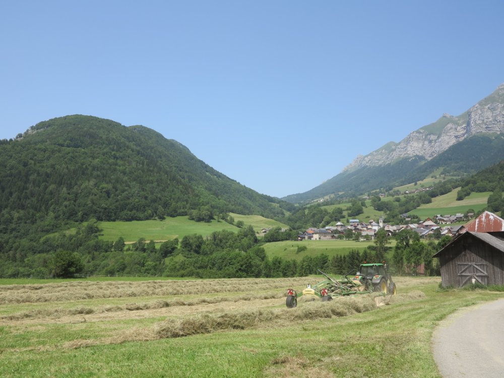 157.JPG