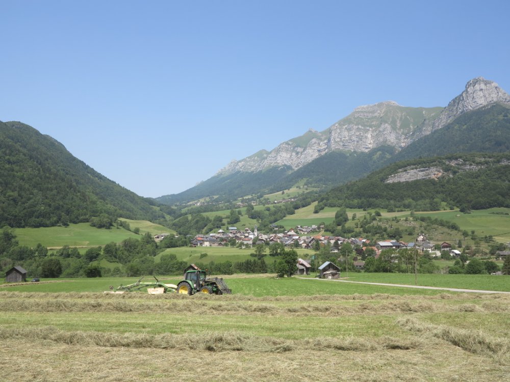 163.JPG
