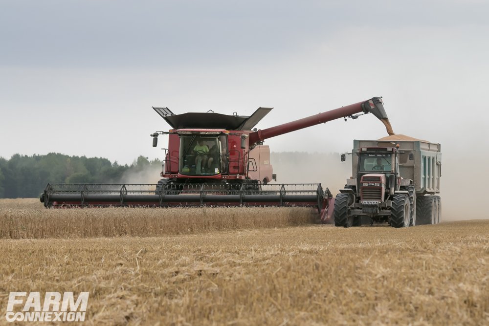 case ih 250-7508.jpg