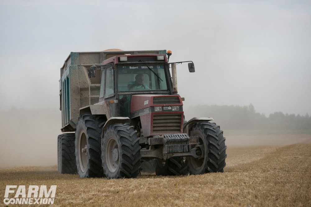 case ih 250-0008.jpg