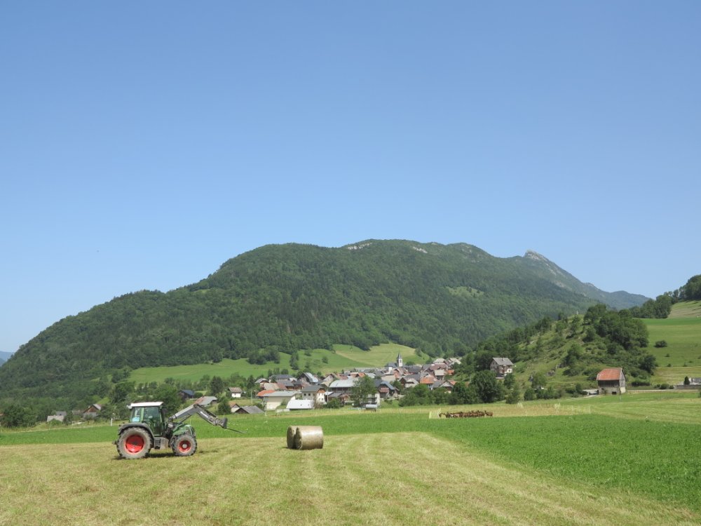 144.JPG