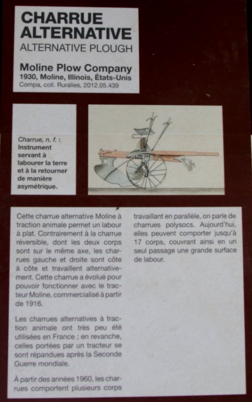 RB0A4823.JPG