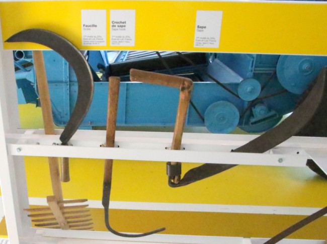 RB0A4886.JPG