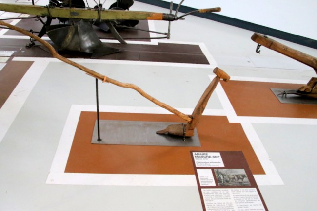 RB0A4949.JPG