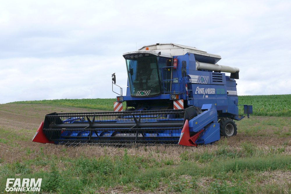 MDW-04.jpg