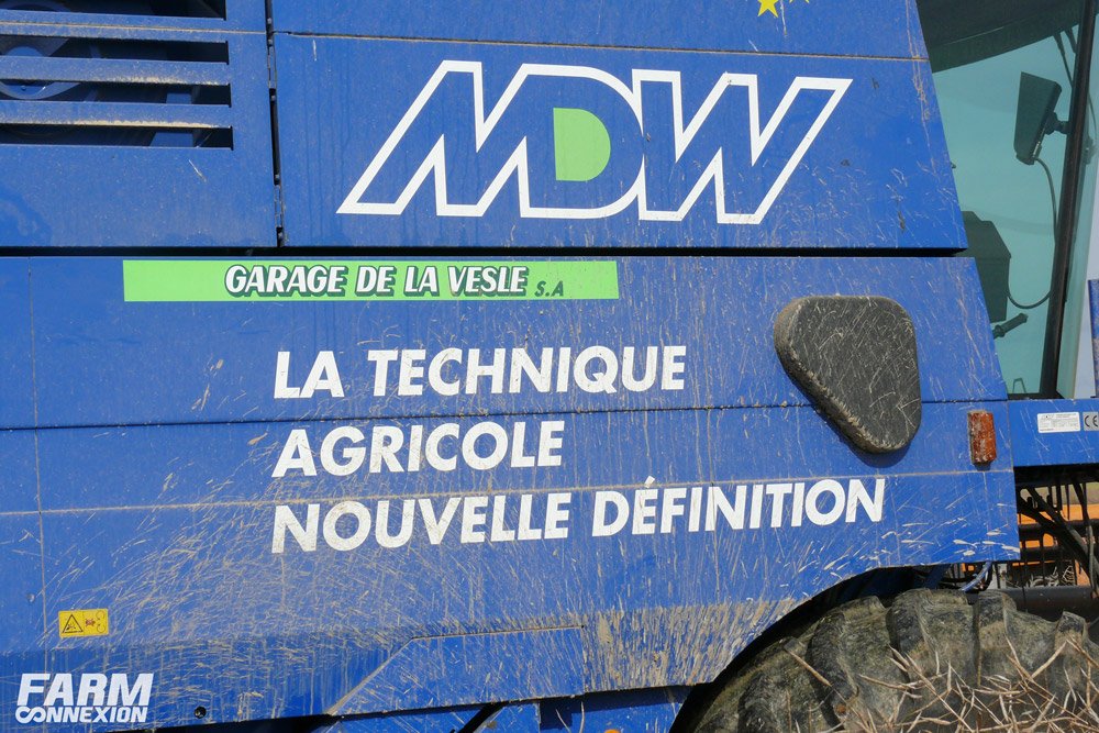MDW-05.jpg