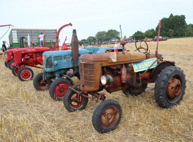 RB0A6992.JPG